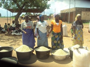Des femmes étuveuses de riz de la vallée du Kou. Ph. B24