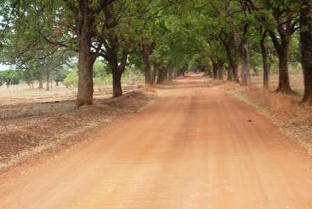 La nouvelle route partira de joindra Banfora à Sindou en passant par d'autres localités. Ph.B24