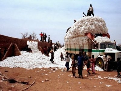 Le Burkina Faso est le 1er pays producteur de coton 2012-2013 en Afrique (Photo d'illustration)