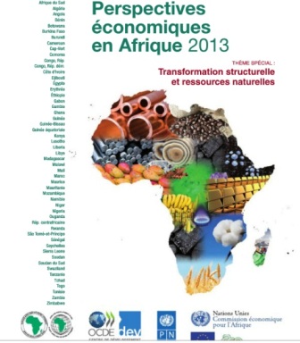 Perspectives économiques en Afrique 2013