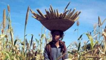 investissement dansl'agriculture -