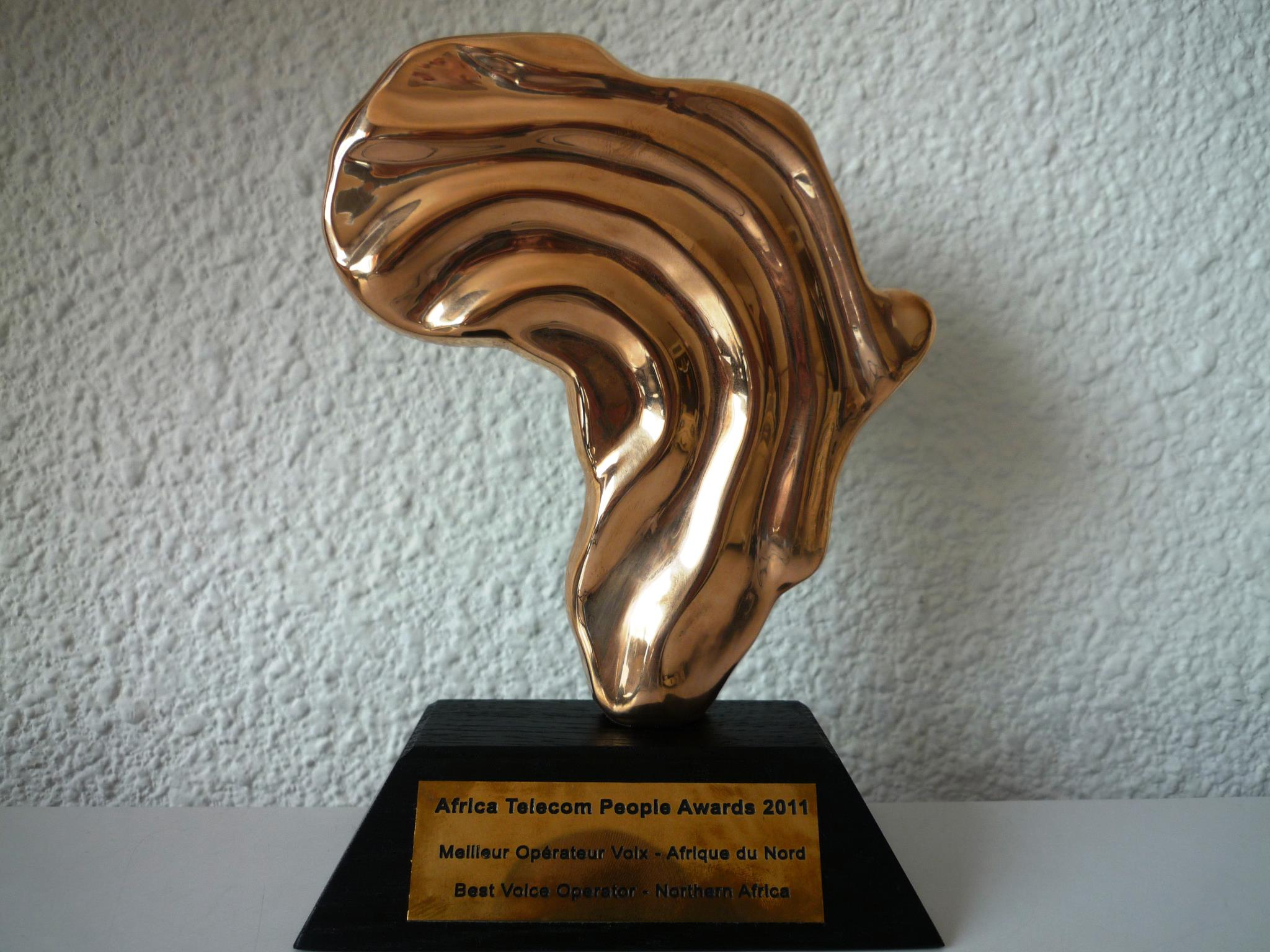 Trophée de la 7e édition de l'Africa Telecom Awards (Ph : DR)