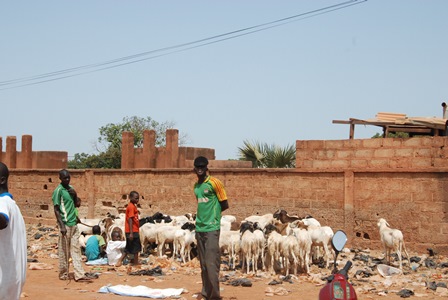 En plus de Sabani Kouanda, d'autres vendeurs prennent place au mur (Ph:B24)