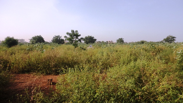 L'environnement général du cimetière de Dagnoen (Ph : Burkina 24)