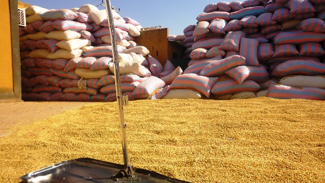 Les cantines scolaires pourraient recevoir le riz produit à Bagré (Ph : B24)
