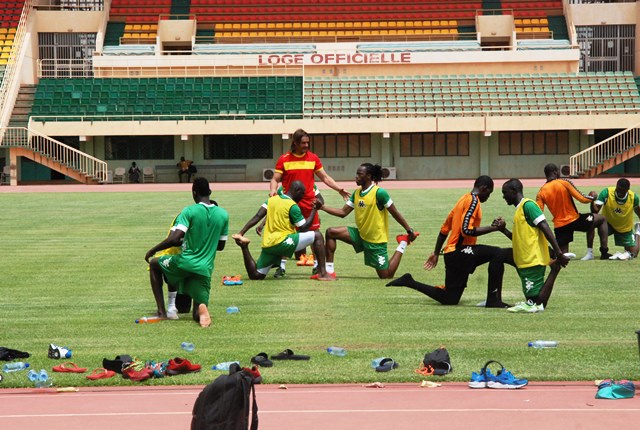 Quelques Etalons manquent à l'appel par suite de blessure  © Burkina24