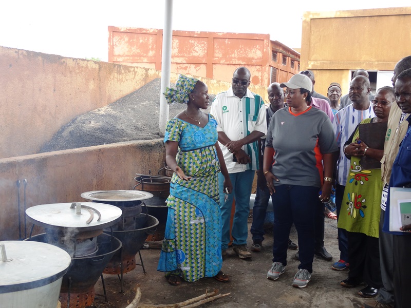 Nana Fatoumata Benon Yatassaye gouverneur de la région (casquette) visitant le centre des étuveuses de Mogtédo