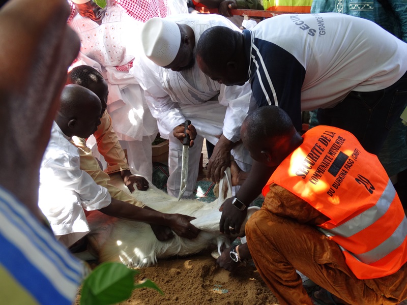 L'imam Aboubacar Sana accomplissant le sacrifice. © Burkina24