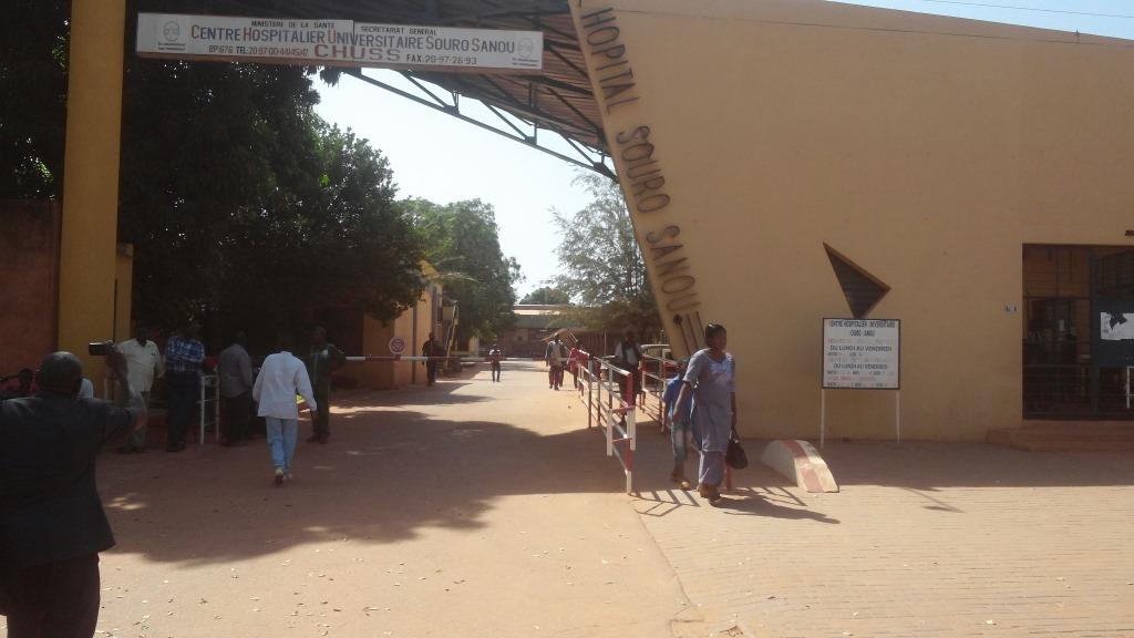 greve-synthsa-bobo-3