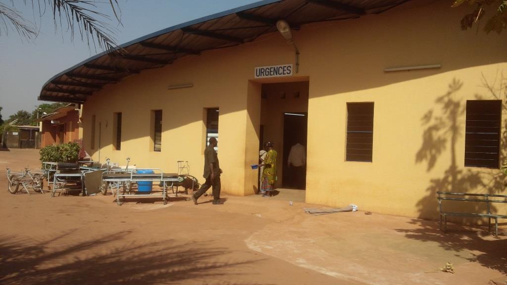 greve-syntsha-bobo-1