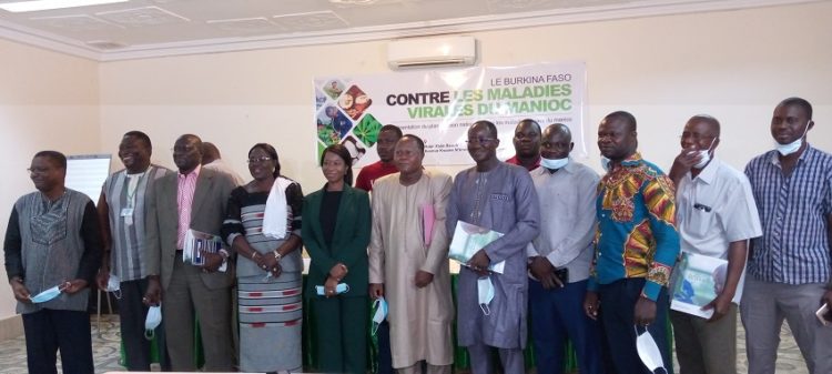Sécurité alimentaire : Le programme Wave se penche sur les maladies virales  du manioc au Burkina Faso - L'Actualité du Burkina Faso 24h/24